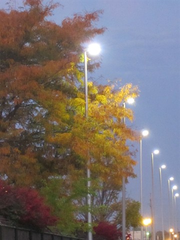 How to Determine Optimal Placement for Parking Lot Lights